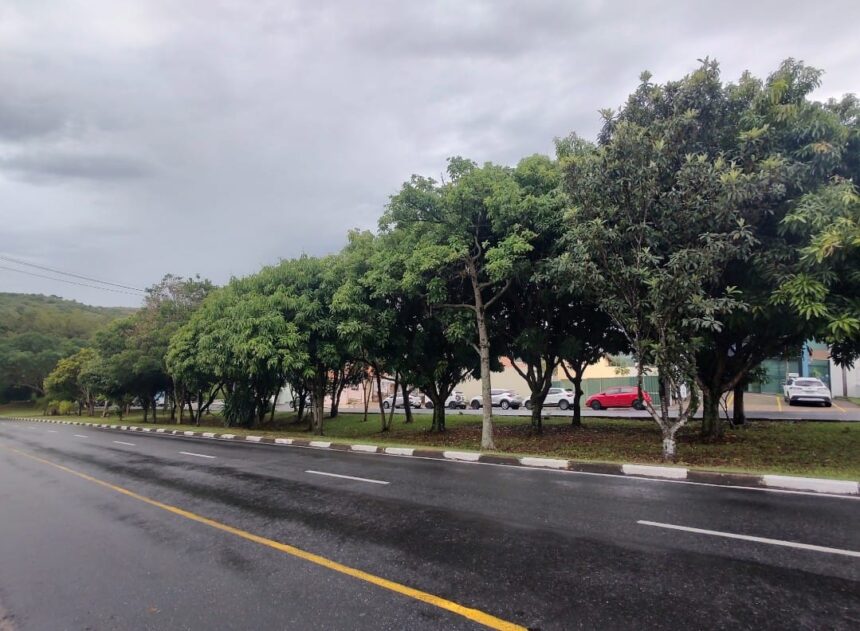 Avenida Joaquim Alves Corrêa, em Valinhos